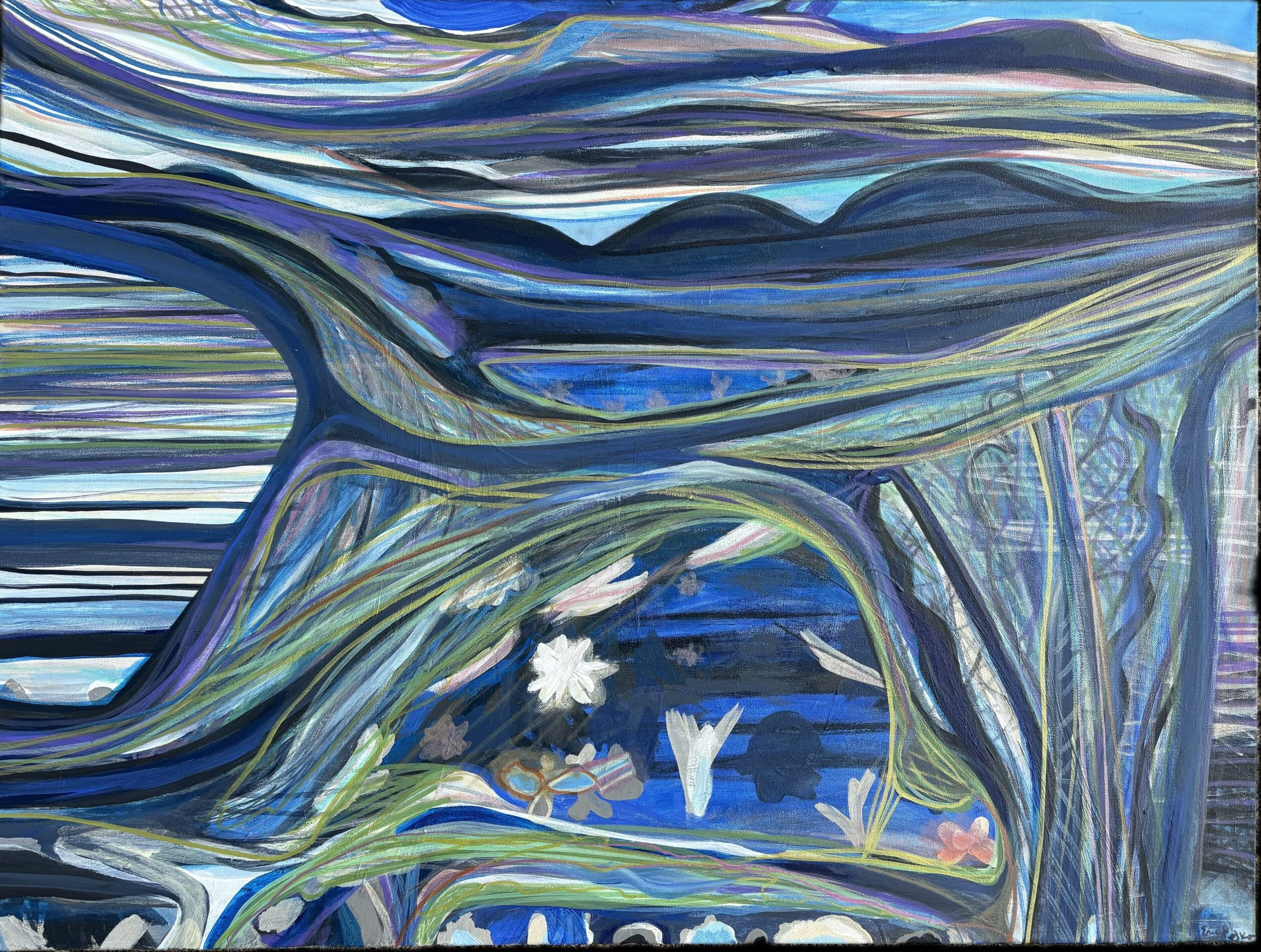 Roller Coaster Wilderness, 2025 30 x 40 inches acrylic and India ink on canvas